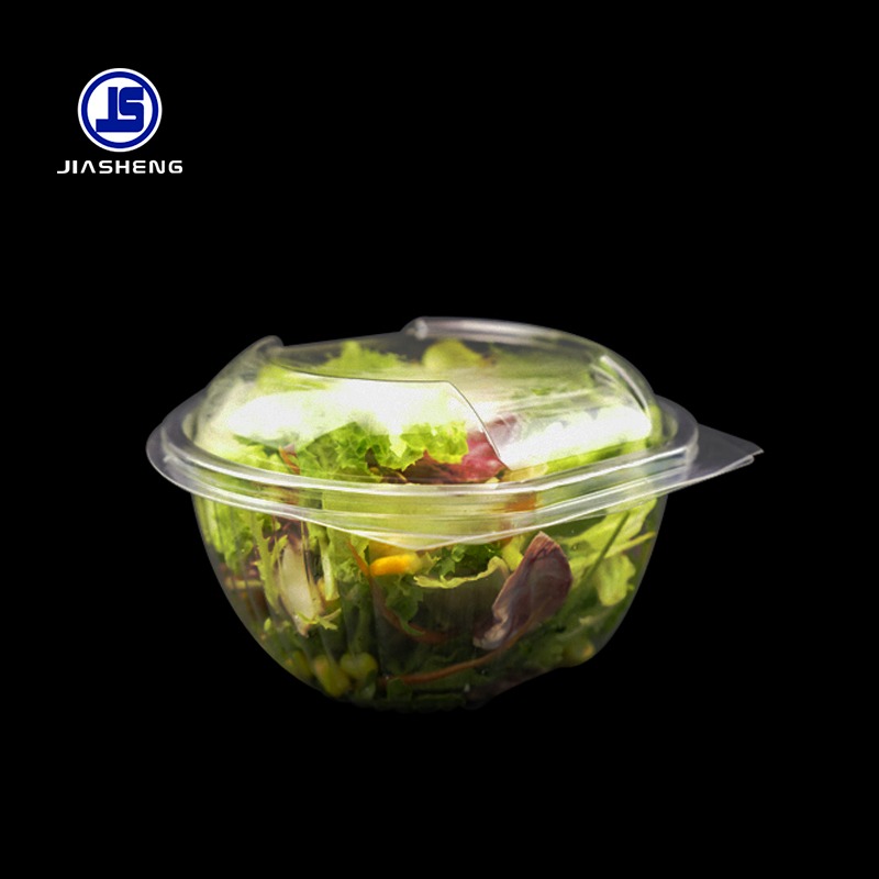 Disposable Salad Containers: What Food Businesses Should Consider Before Ordering